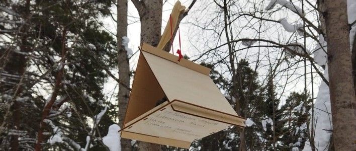 В Кирове проходит конкурс птичьих кормушек